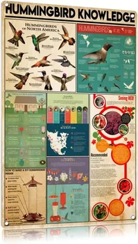 Vintage Plechové Znamení Kolibřík KnowledgeInfographic Deska Animal Science Plakát Pro Školy Domů Místnosti, Děti, Vzdělávání