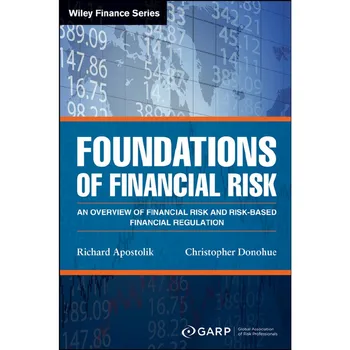 Základy Finanční Riziko (brožovaná kniha)